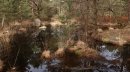 Mare aux Marchais
